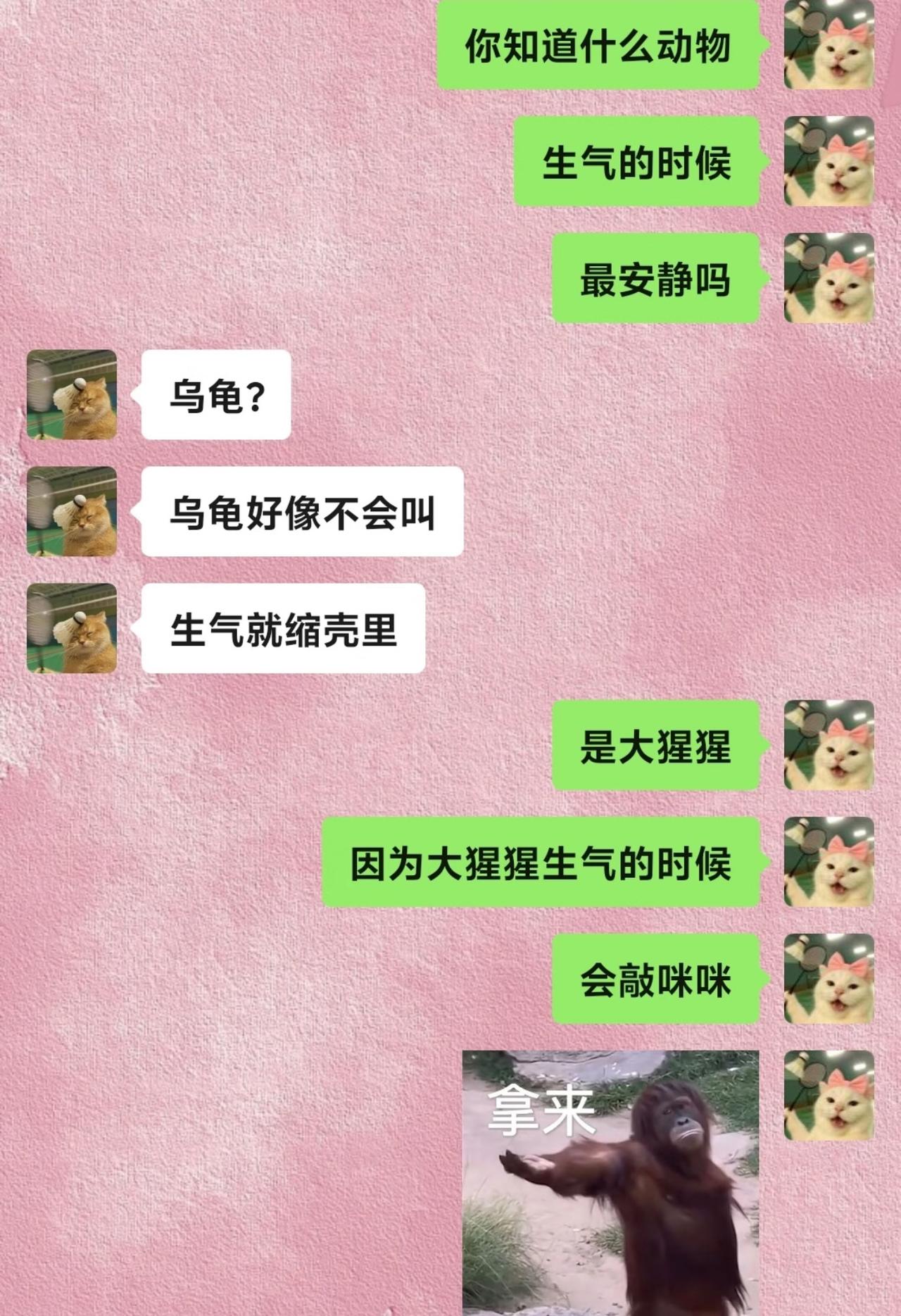 好好一个脑筋急转弯，硬生生玩成冷笑话了。
女生问什么动物生气的时候最安静，男生认