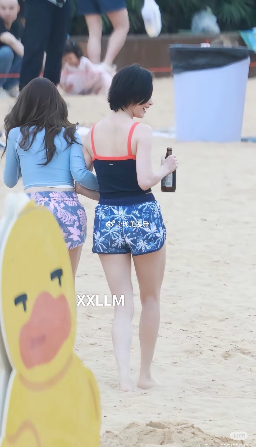 ？明天能播吗momo 