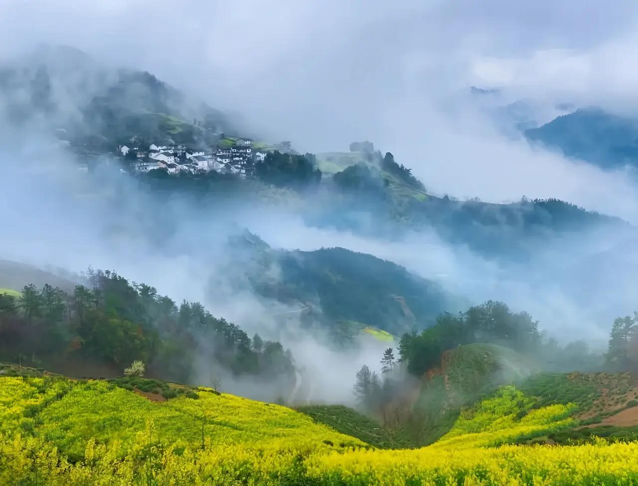 南京市收入排名靠前的单位有哪些呢？一些公开数据能为我们做个简单归纳。比如南京紫金