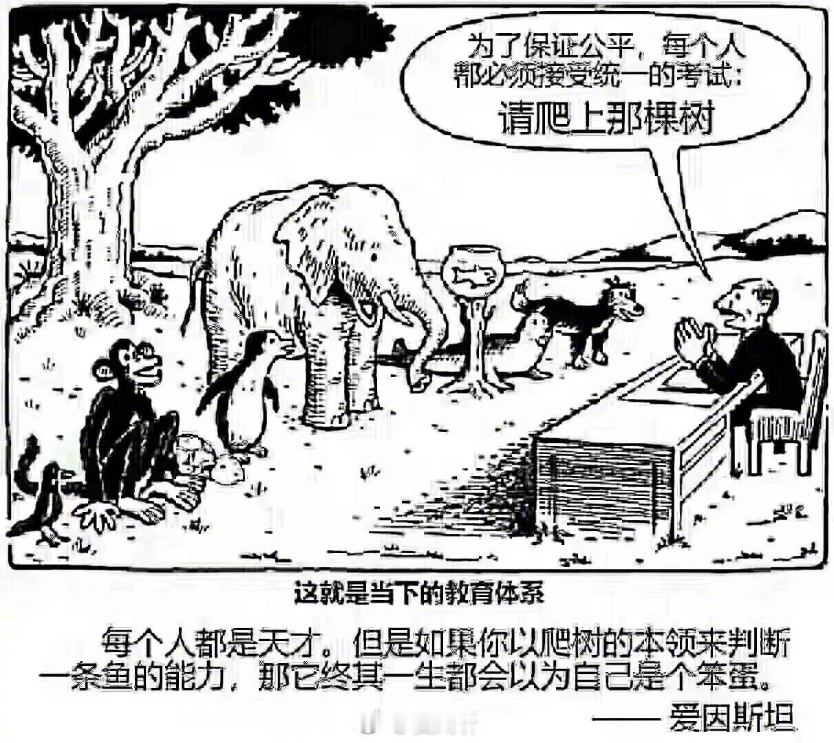 管理
不是把员工
塑造成你想要的样子
而是帮助员工
把他的优点发挥到极致