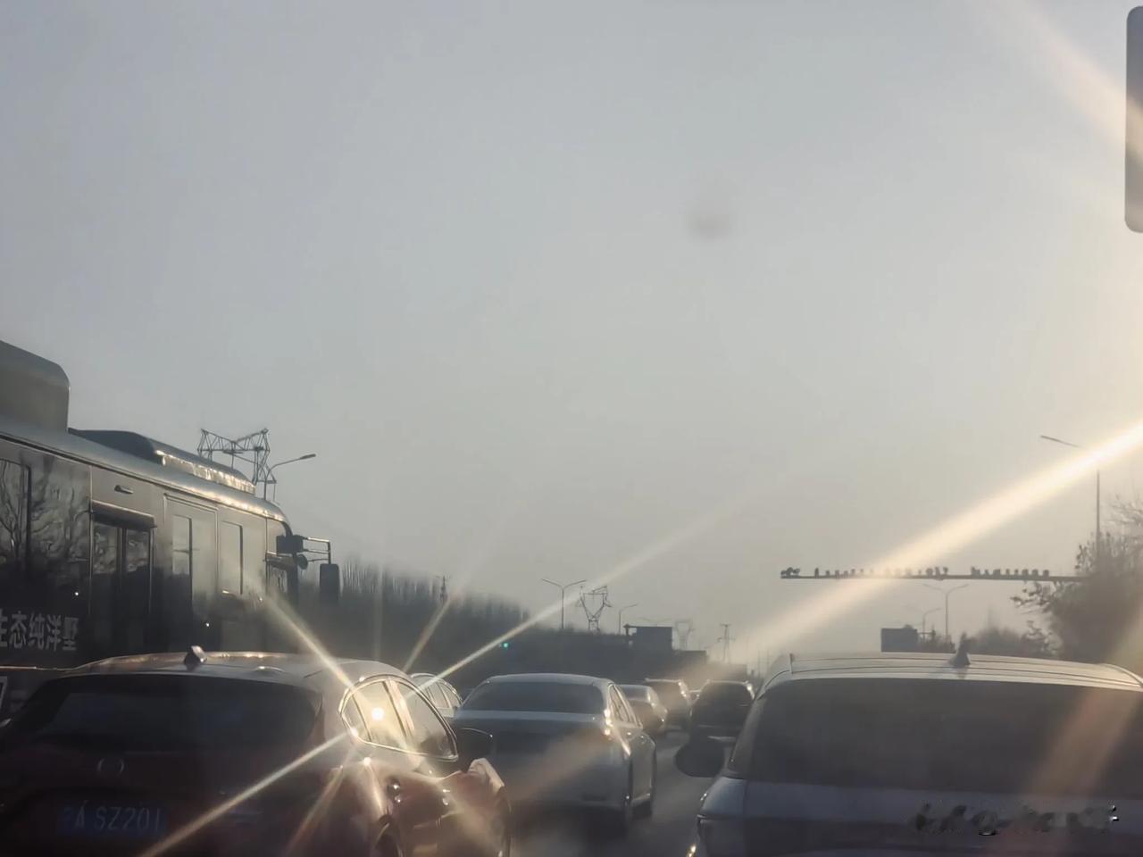 20250221我的行走日记

2025年2月21日早11点银川黄河滩涂生态监测