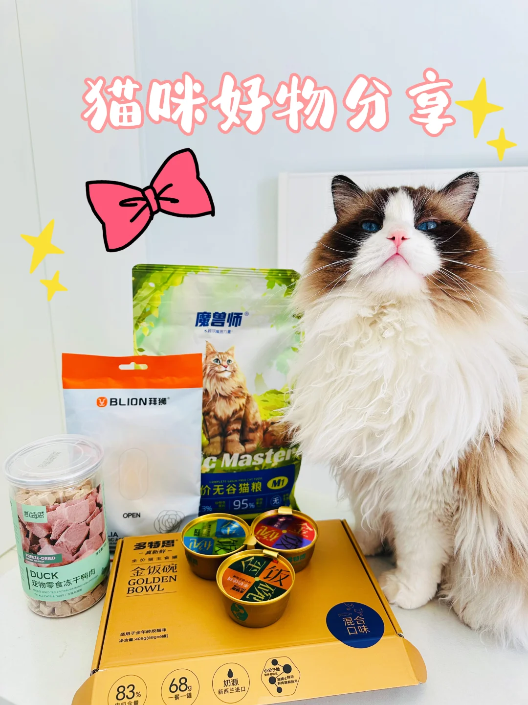 精致猫咪的生活是怎样的⁉