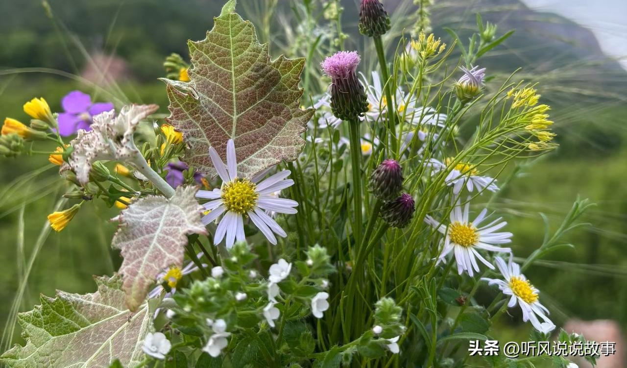 ❤️在当今不确定的时代，没有任何人有资格来评价你，不看任何人脸色，不求任何人，没