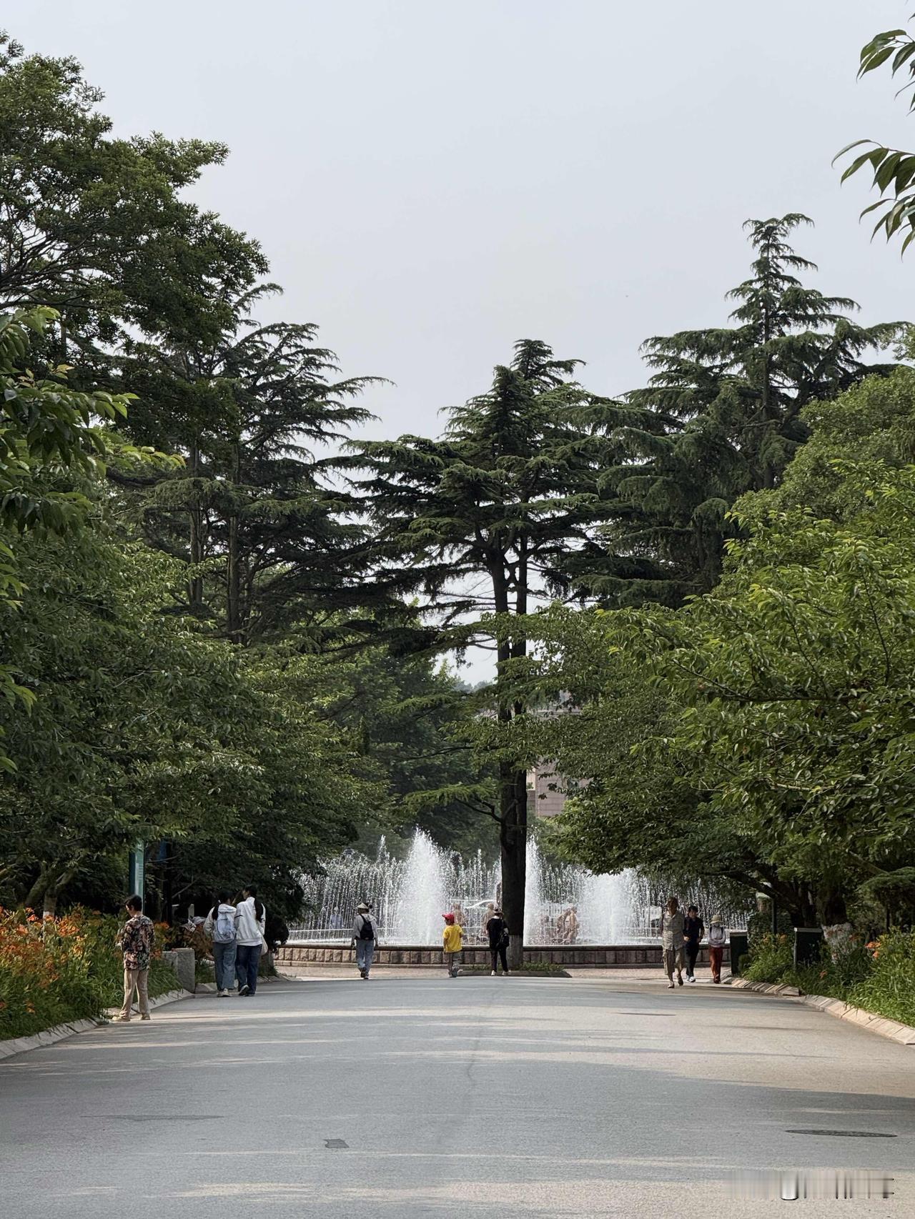 真心话茶局昨天是周六是我去青岛中山公园的日子，我早上8点半就到了，开启了今天上午