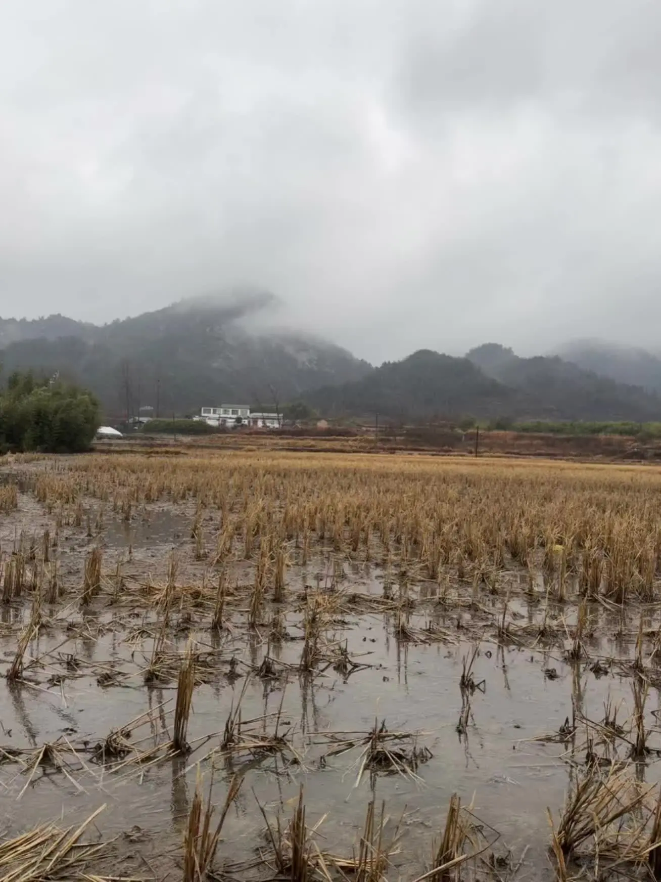 如果城市生活压力太大了 那就跟我回农村吧