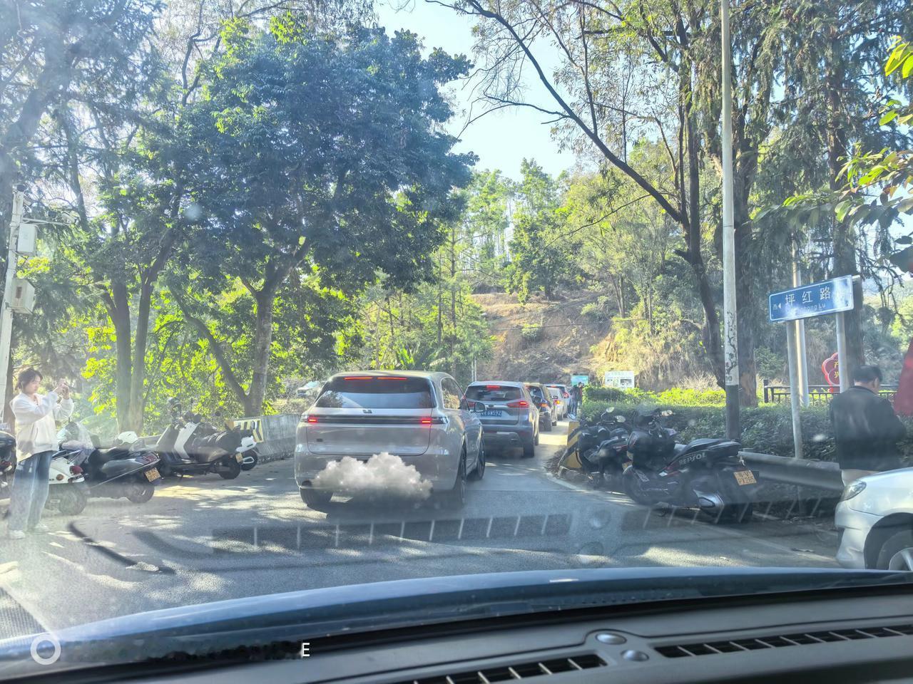 梅花节还没有开始，就已经这样了😂