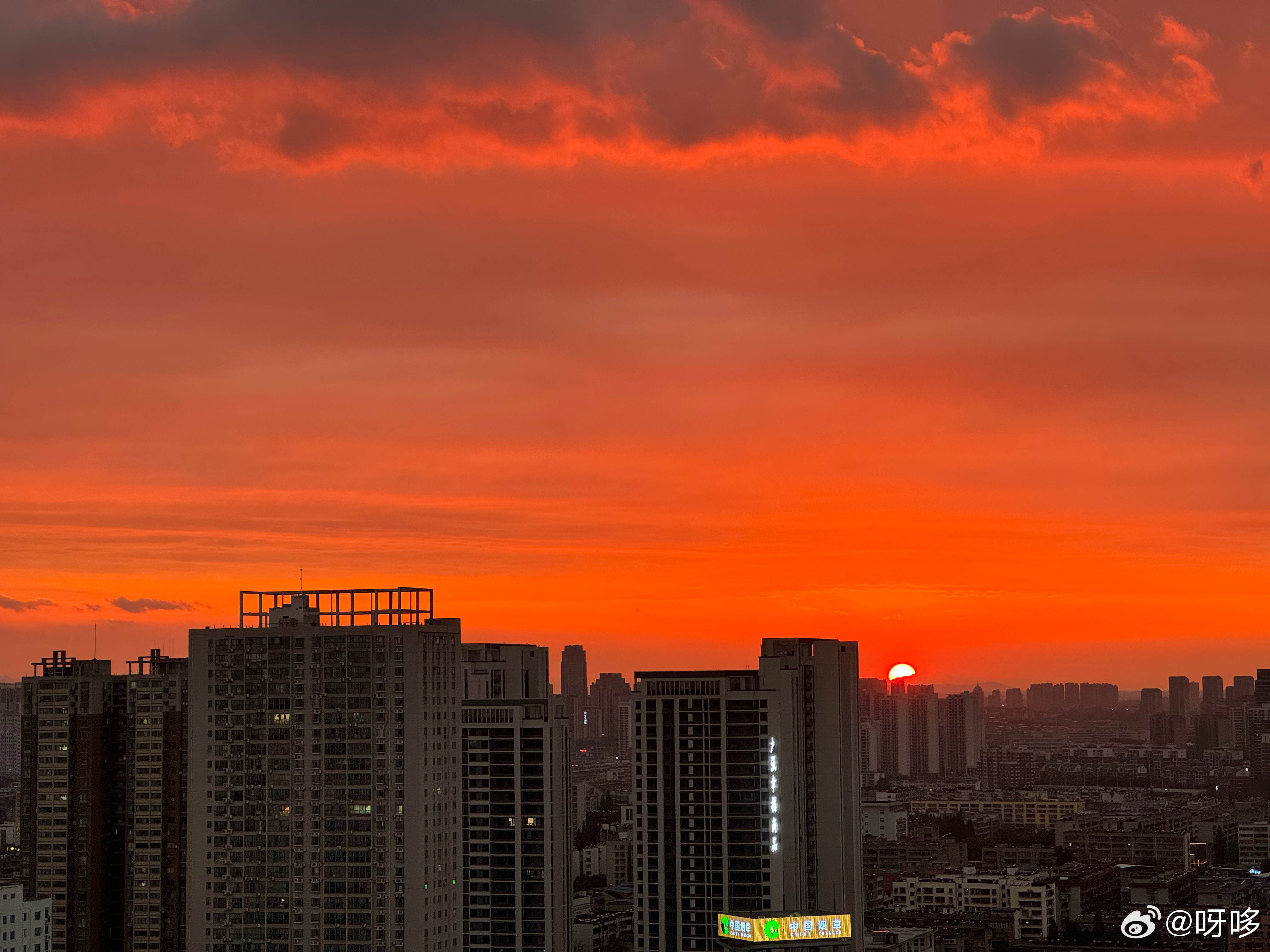 🌇 