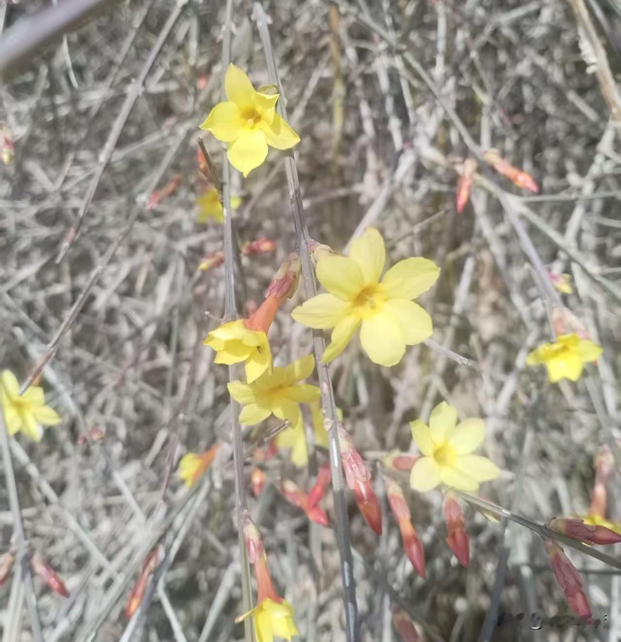明天要上班了！上班了！明天的路况啊，是不是得早起一个小时去挤地铁呀，一波儿赶不上