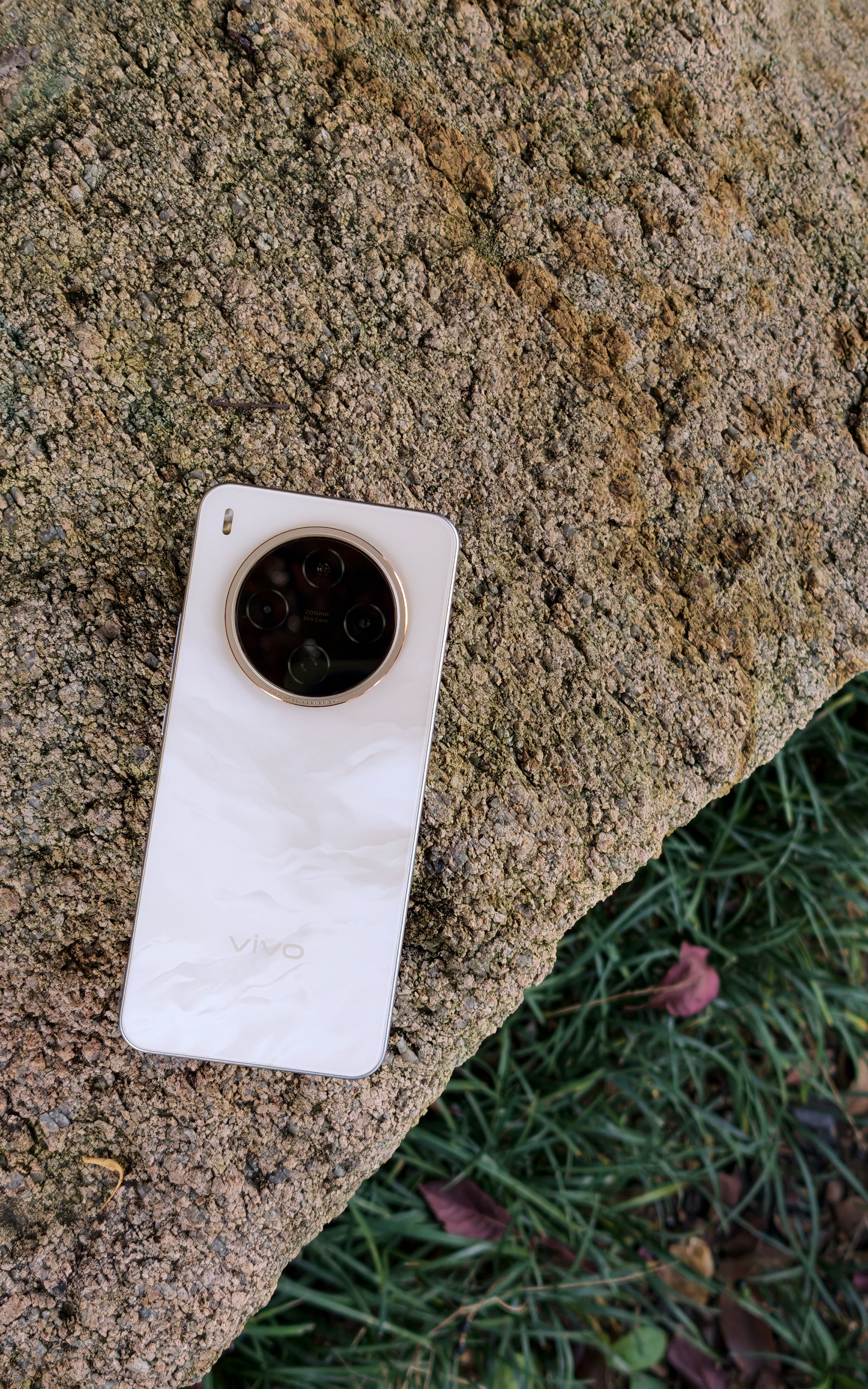 国民小旗舰 室外随手拍[照相机]整体机身是很淡的浅金色，下端有若隐若现的云纹。整