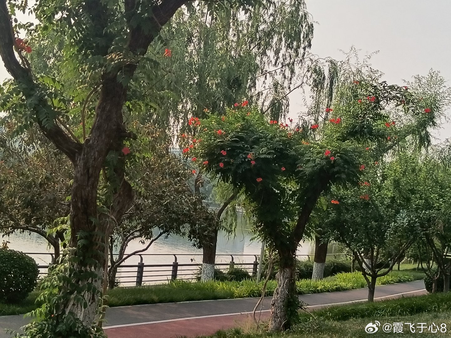 随手拍四季花开风采万千惬意自来 