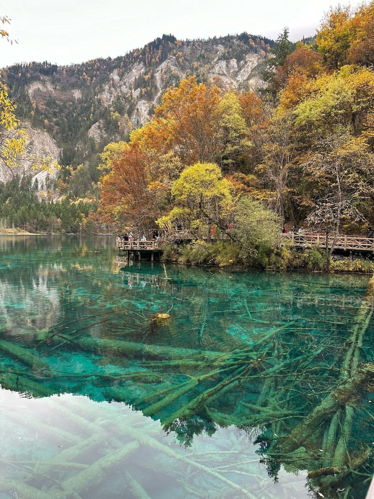 物业的管家换了一个又个了，现在是第三个来管理了。

去年才交房，有一部分人已经入