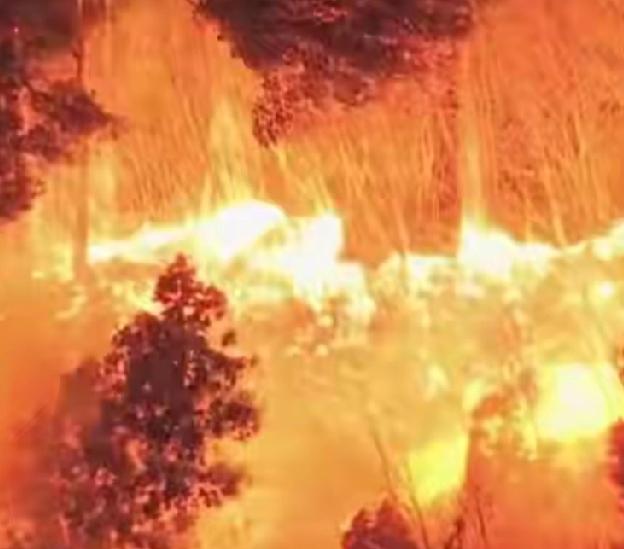 日本岩手县4月22日发生大规模山林火灾，目前起火原因尚未查明，当地中小学已全部停