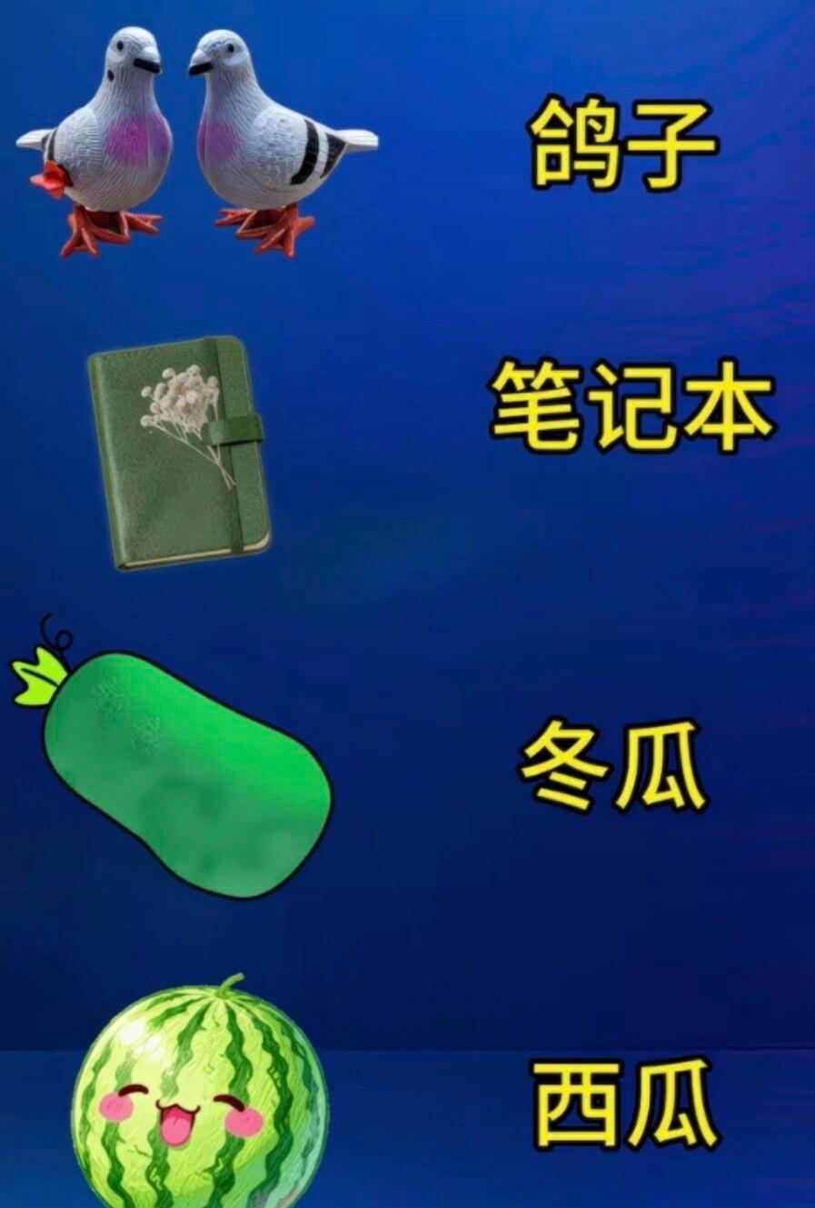 鸽子，笔记本，冬爪，西瓜连一块，你会想到什么成语呢？这个词常用来人们目标不一样，