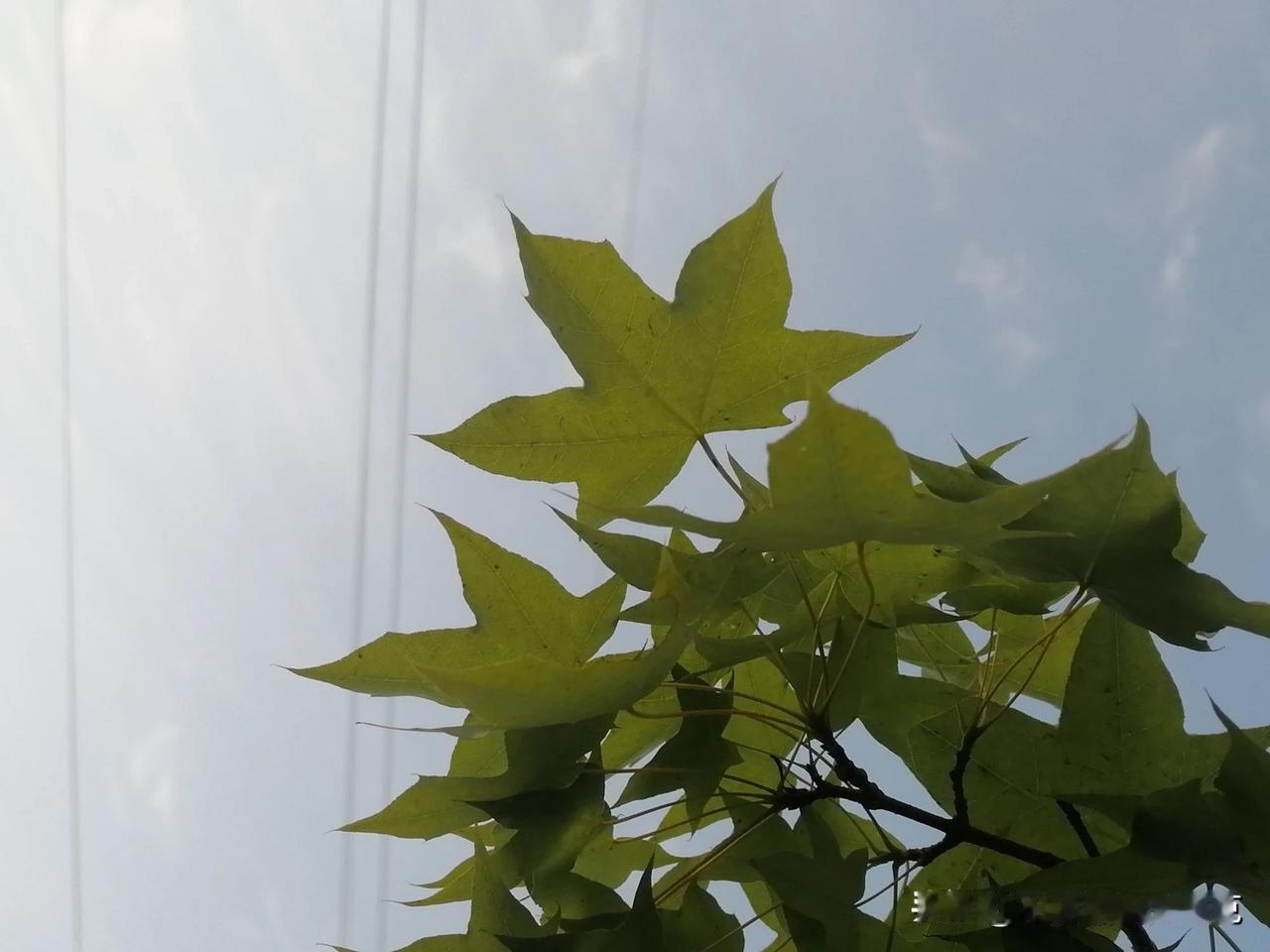 #记录我的2024#
2024年5月3日
人有生老病死，月有阴晴圆缺。
此事古难