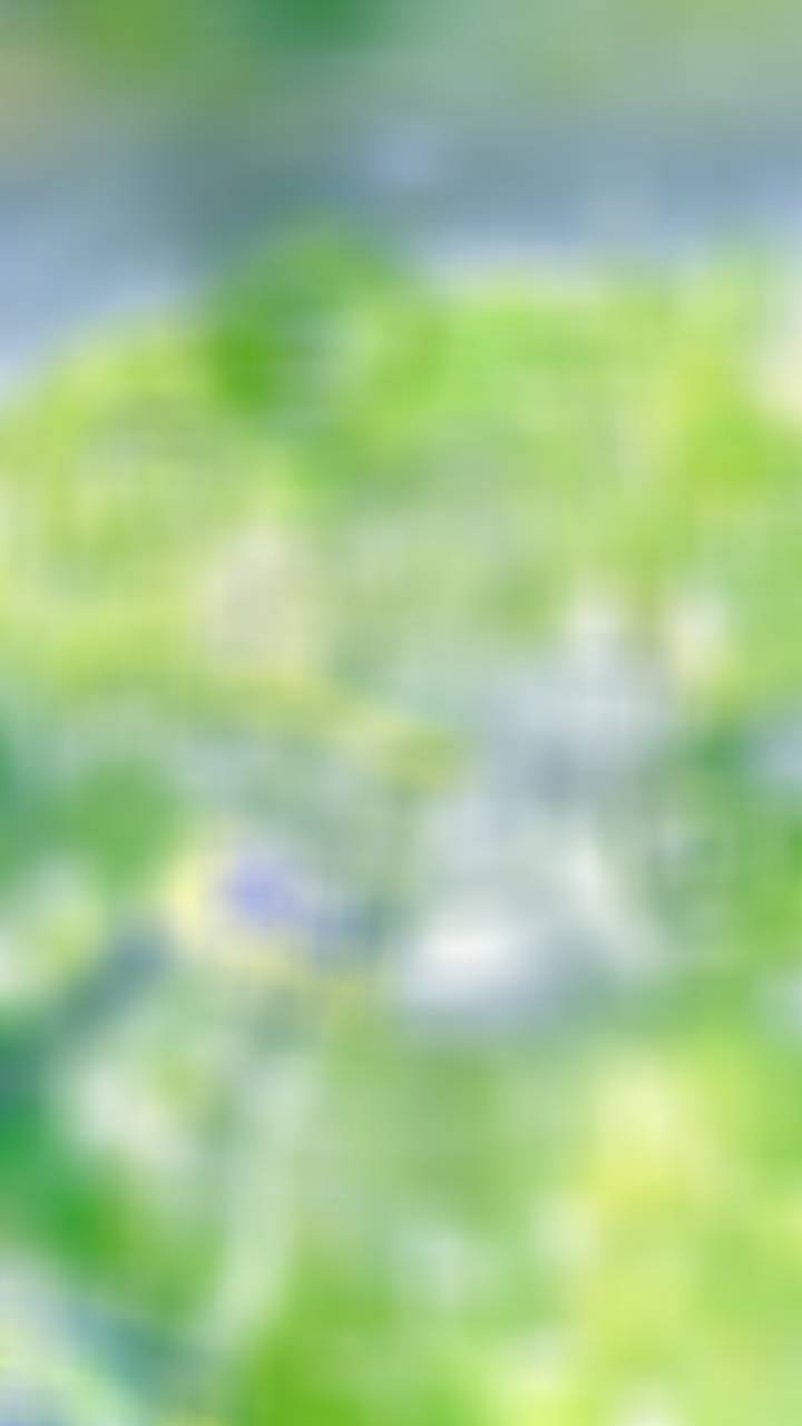 喜金水木幸运壁纸/背景图/头像进财✨✨✨利创意工作灵感/学业降火清凉/利好皮肤排