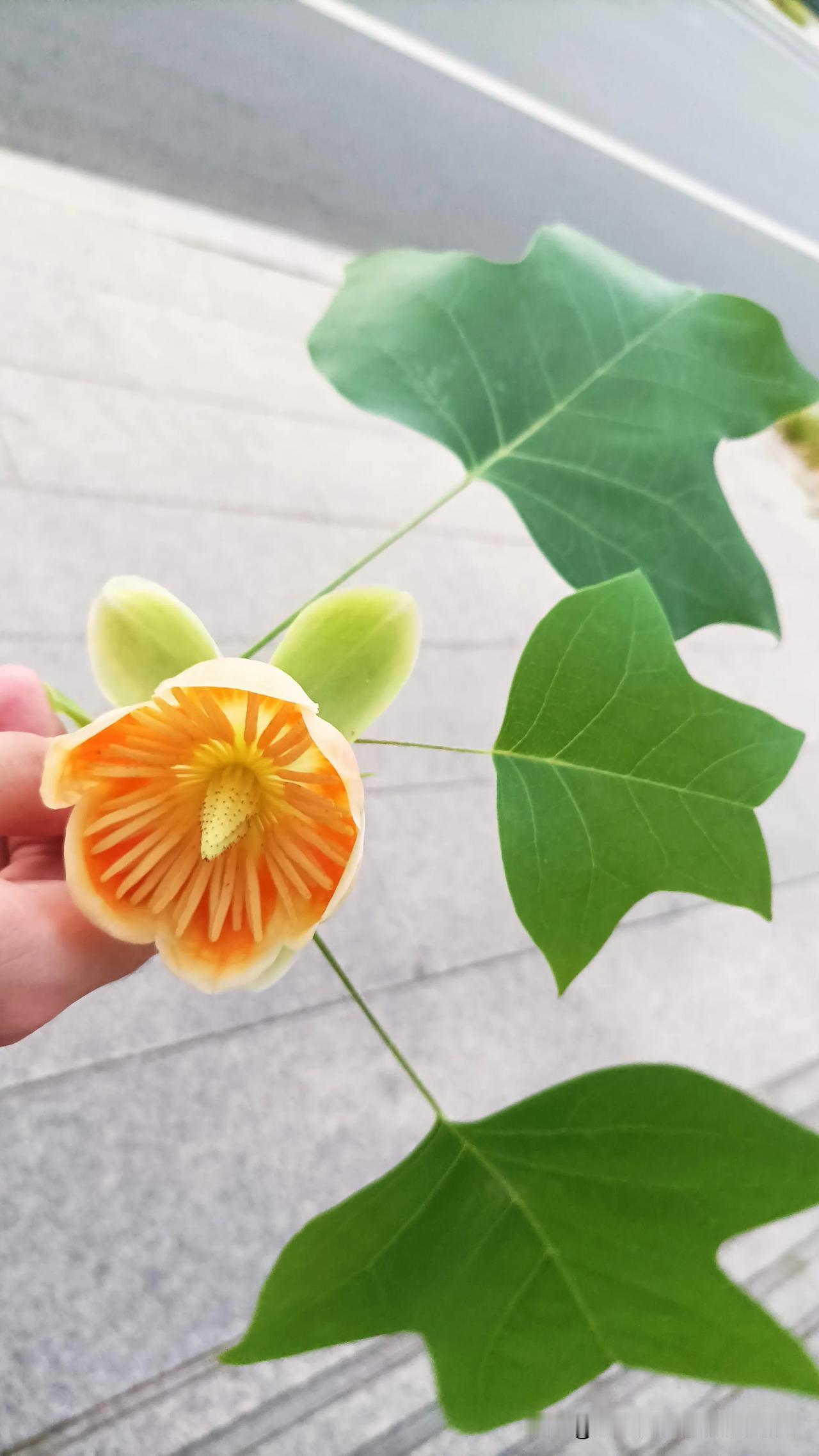 5月1日这一天，就这么悄然溜走了。虽说我五一没放假，可今天除了上了两个小时的班，