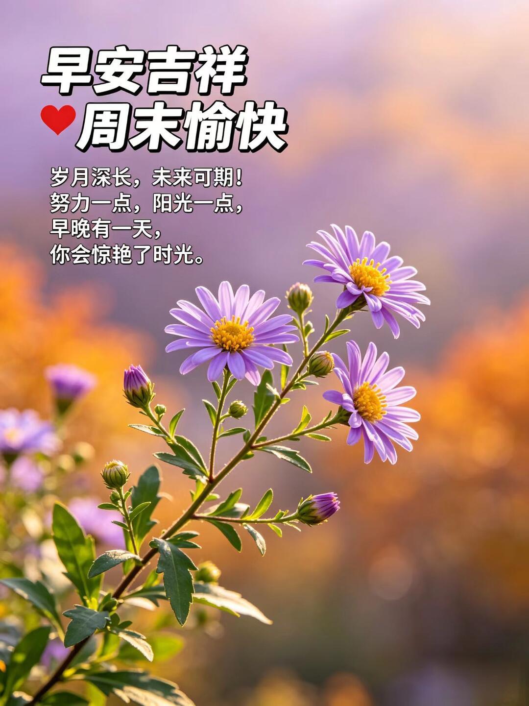 2026.9.20周日早安祝福图片壁纸拿图吱一声噢～ 