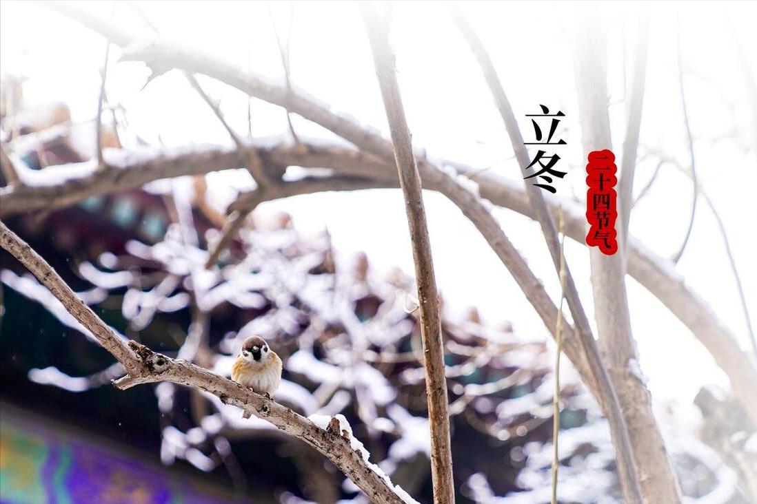 “立冬不补冬，到头一场空”，廿五立冬，建议：吃3样，顺利入冬
今年的立冬在农历九