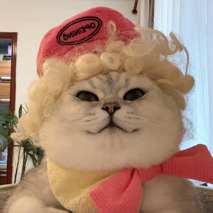 章子信