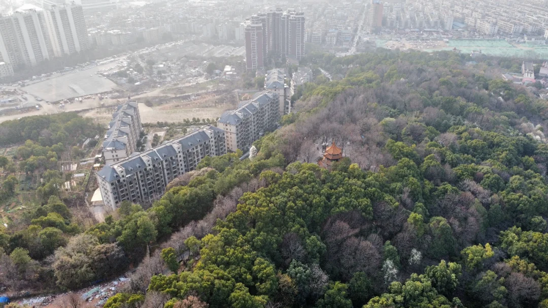 容积率与建筑密度（一）