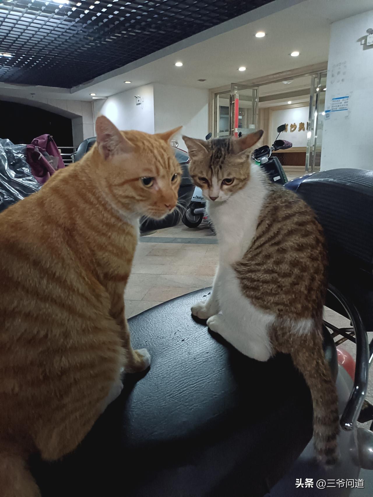 养育孩子成本高居不下，最容易产生的“不必要”高消费，
一，去月子中心。现在很多收