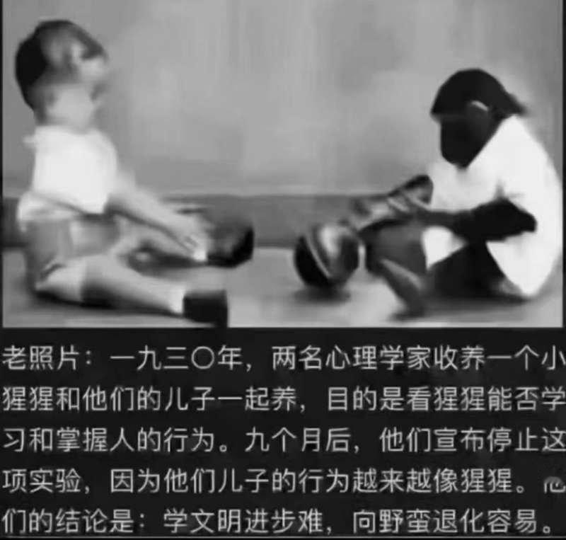 看图说话 学文明进步难，向野蛮退化容易。 ​​​