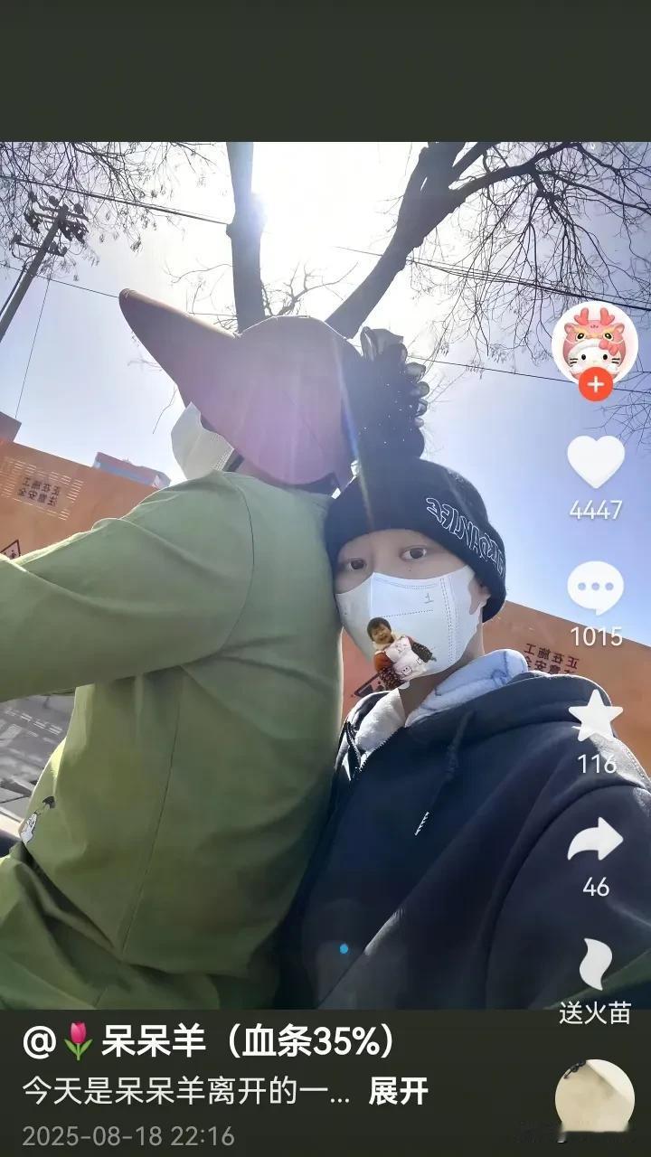 昨晚，呆呆羊的妈妈发文：今天是呆呆羊离开的一个月整，取骨灰的前一天，有两只蝴蝶围