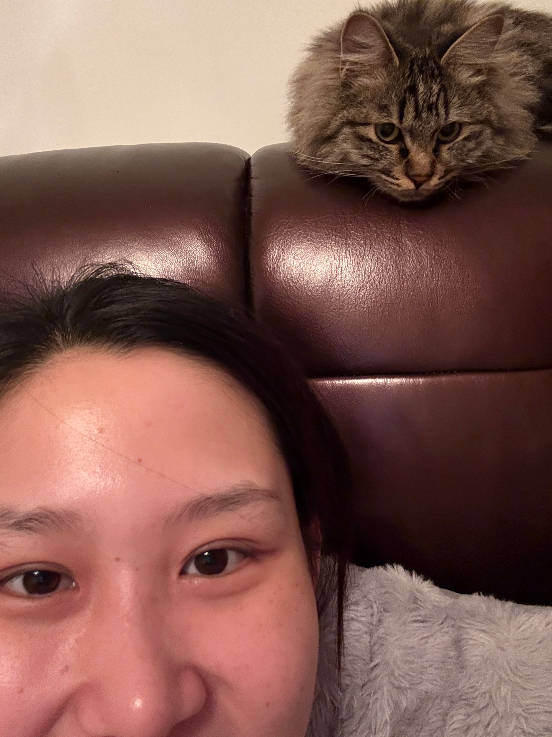 我那成精的小猫咪 ​​​
