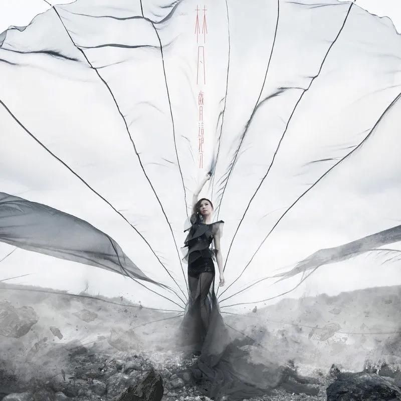 1
2014年5月2日林凡发行第6张专辑《岁月这把刀》。
滚石唱片当年给林凡的定