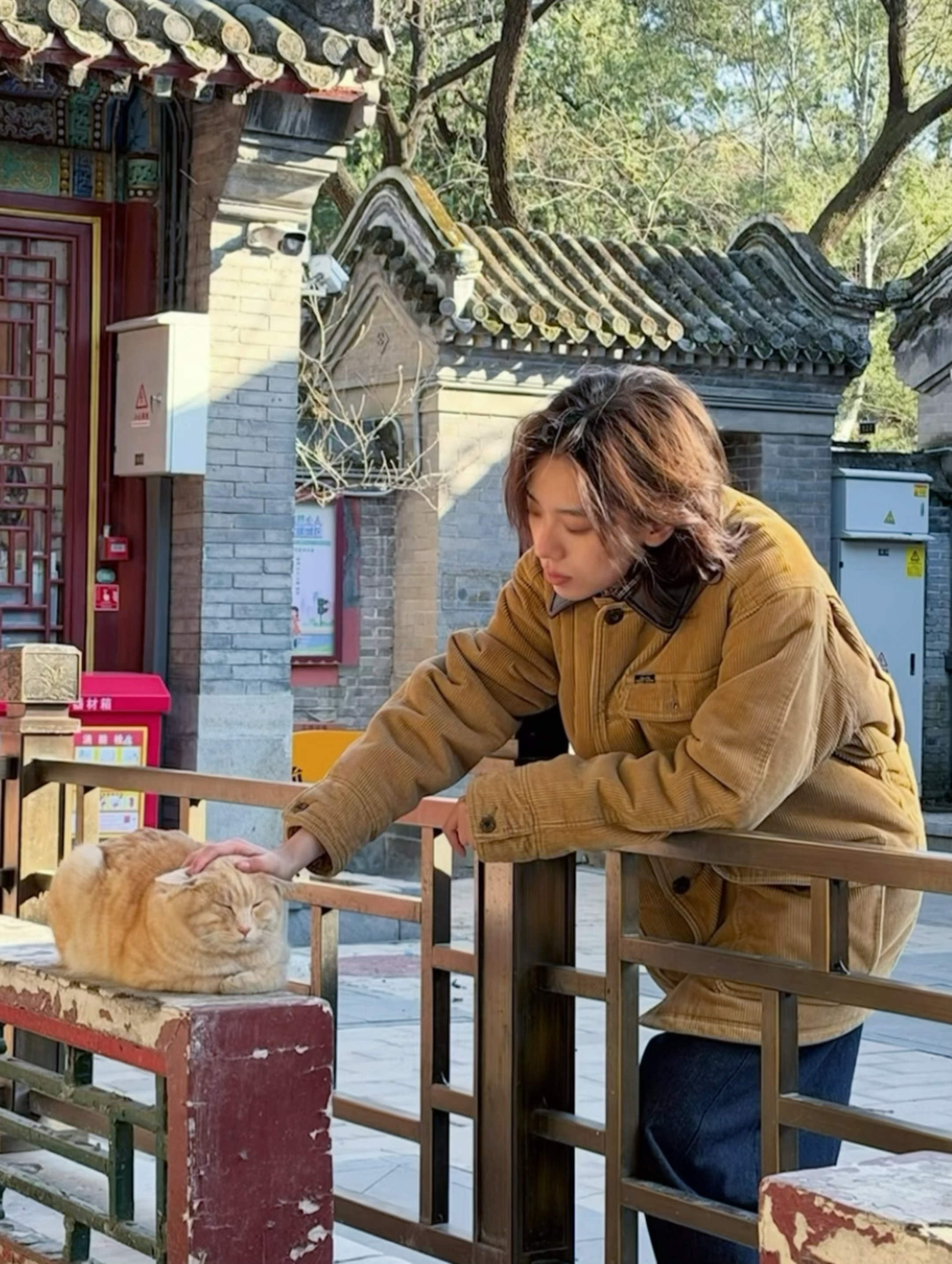 我的灵魂充电法则 爬山⛰️撸猫🐱