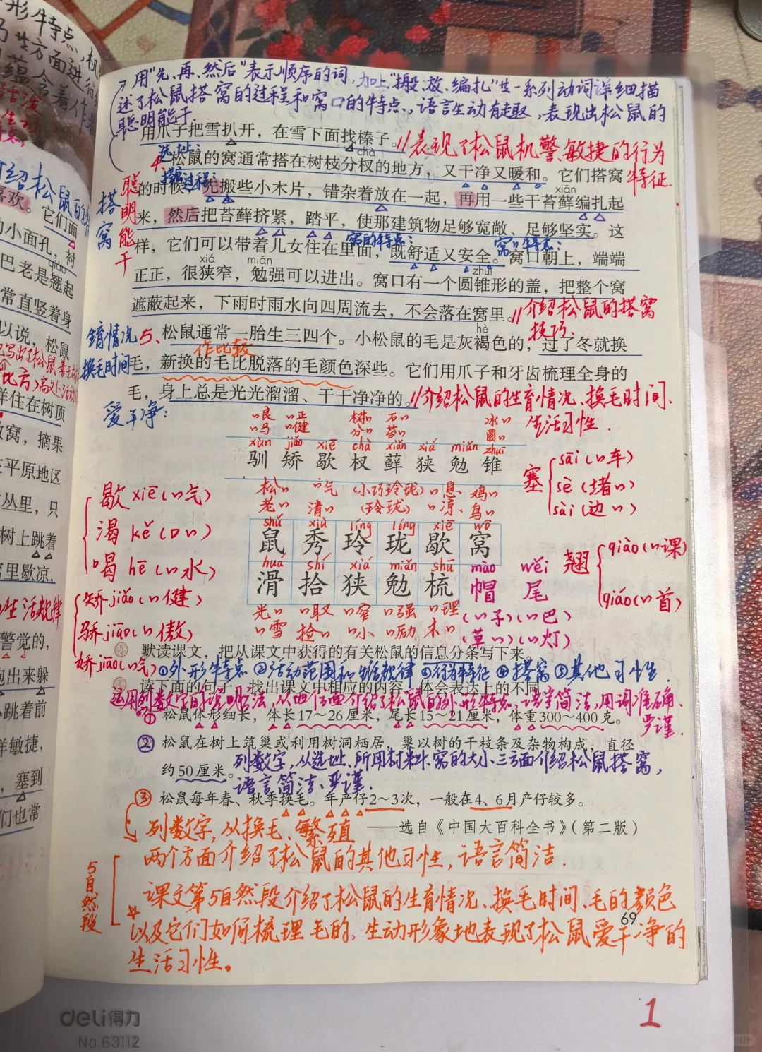 五上语文备课17《松鼠》🐿