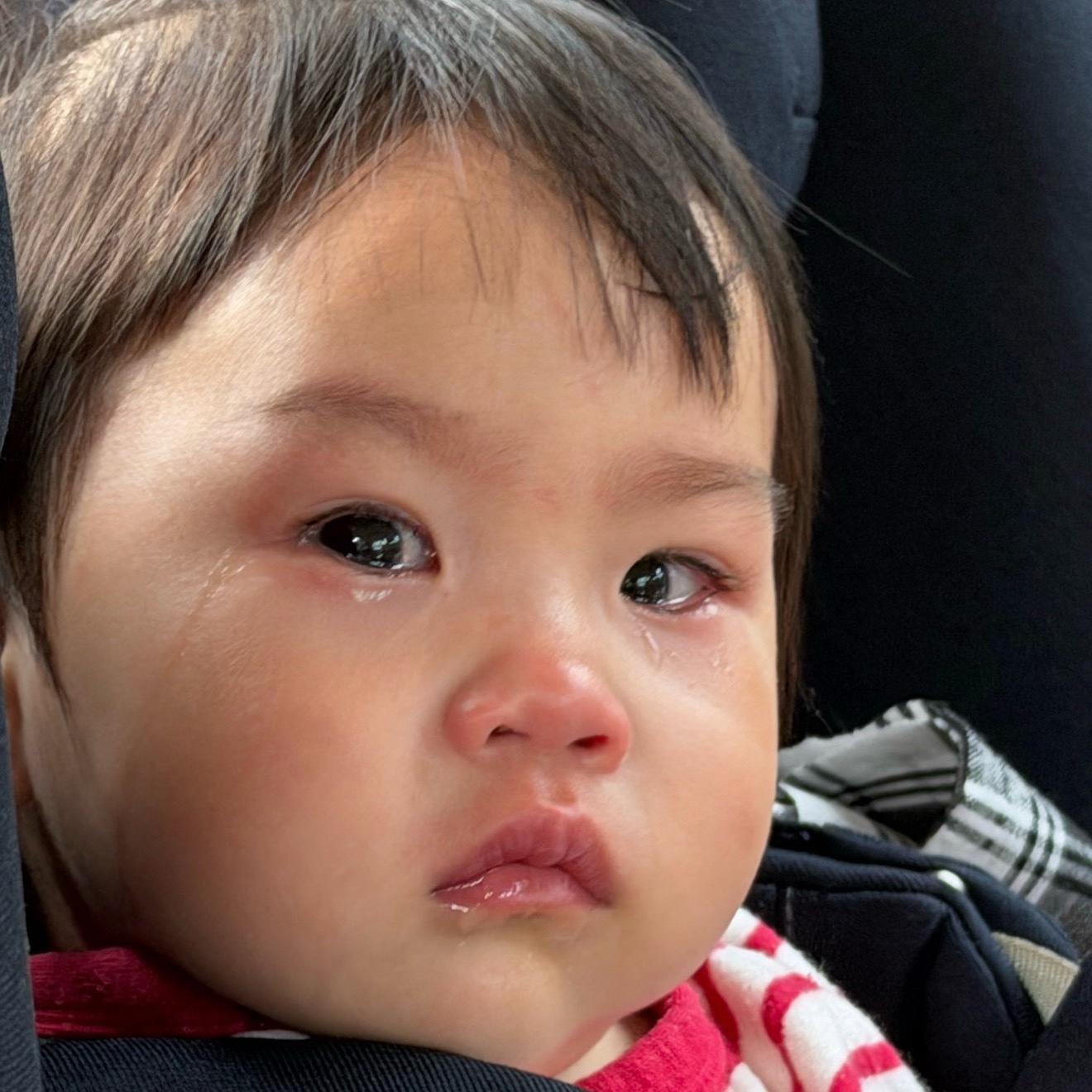 现阶段就是我女被蚊子叮了抿个嘴我都觉得是她受气了呵呵 