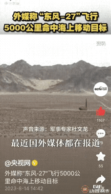 南海仁爱礁，这次我们只打主人不打狗！

打狗没有用，只要把牵狗的主人打趴下，狗子