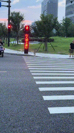 看着毛孩子乖乖站在路边等候红绿灯，一瞬间心里五味杂陈，突然间心里对它的爱增加了。
