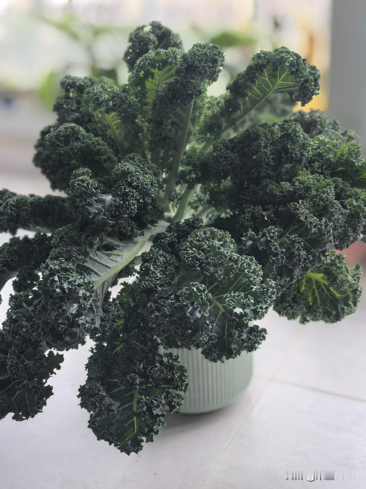 我对任何别人都没有多大的情意恨意和依赖或帮扶感。

除了自己的女儿，爸爸，姐姐，