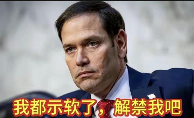 鲁比奥服软了，我们会解除对他的制裁禁令吗？

鲁比奥这家伙，以前在国会里天天对中