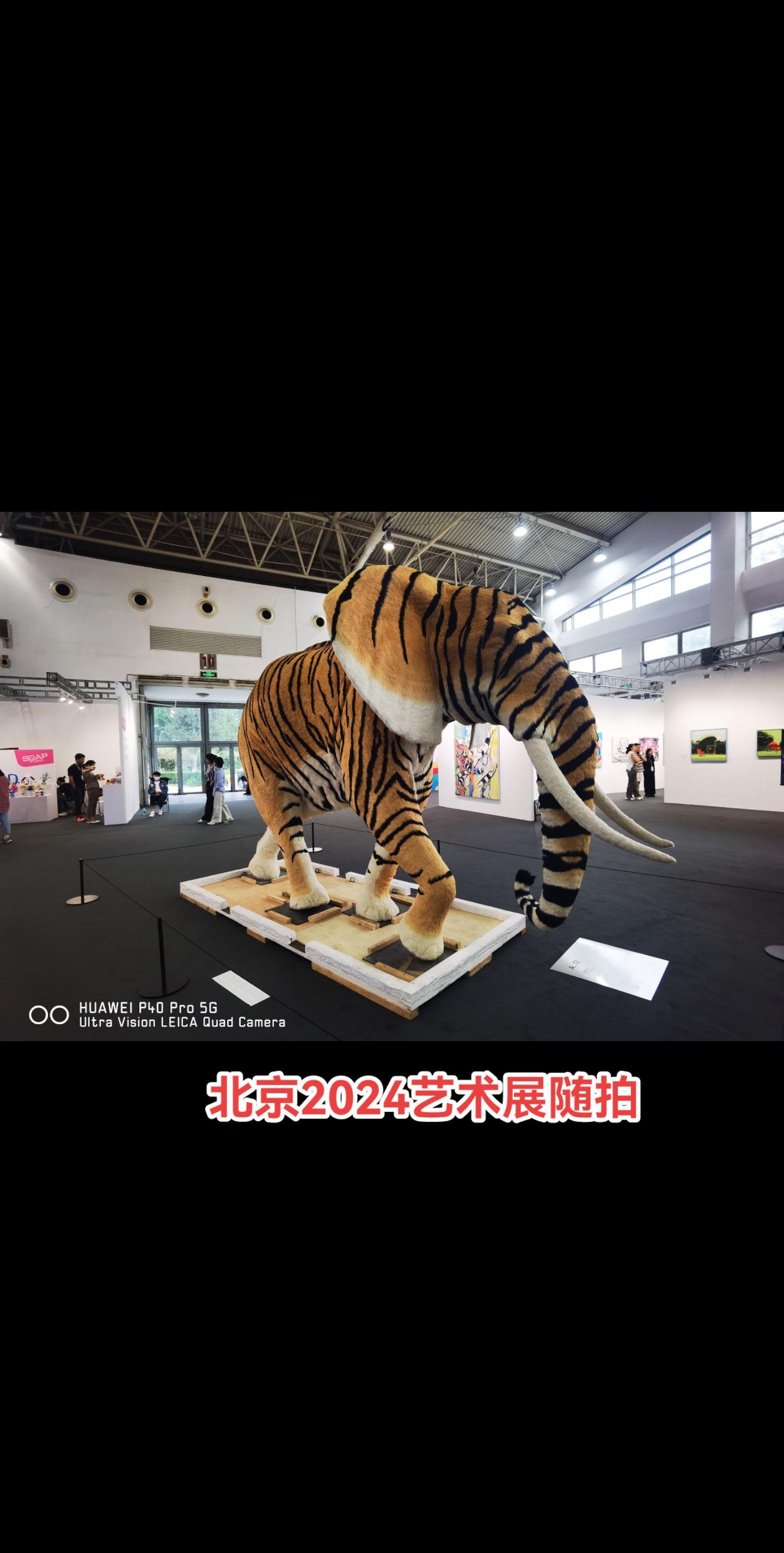 北京2024艺术展随拍。