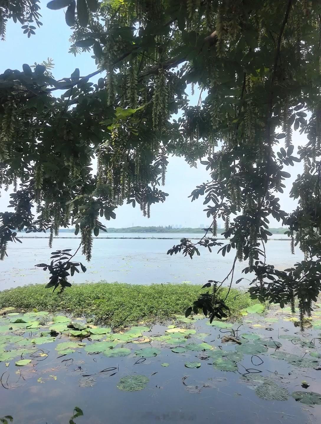 跟我那个阿姨的姑娘聊天，她搬到我们小区了，她是自己做工作室的那种。我说我今天接娃