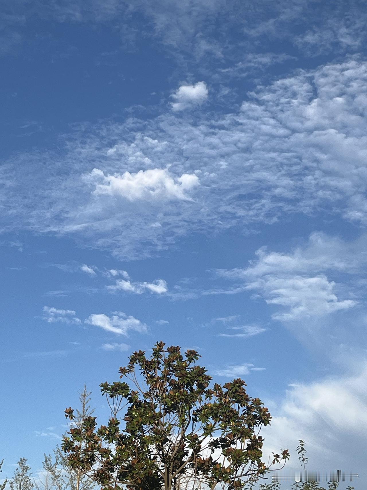 一位旅游爱好者说：“旅游的最好方式就是找一个舒服的酒店，睡到自然醒，然后不需要逛