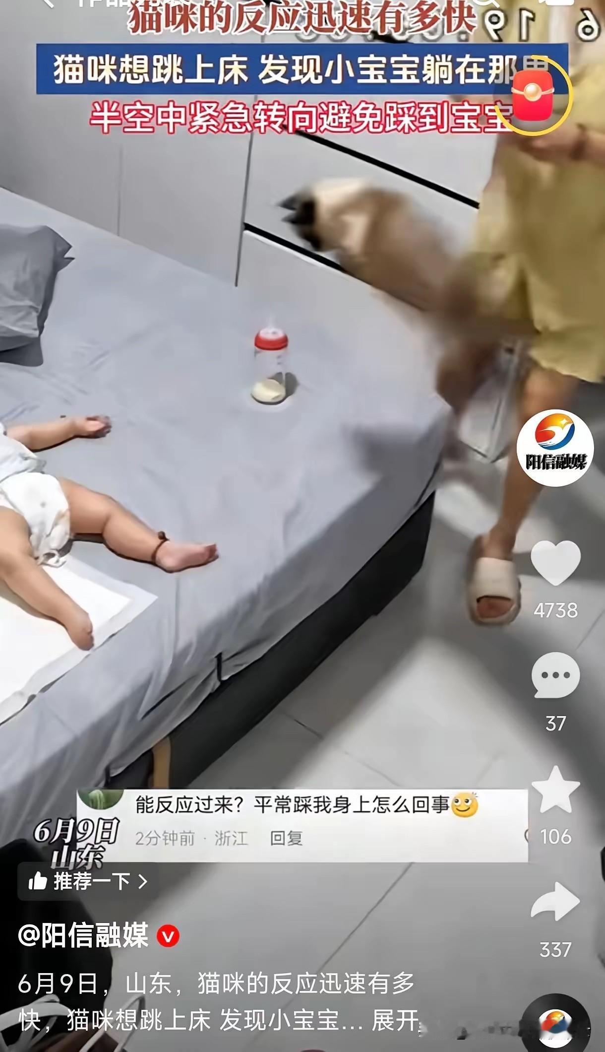 山东一户人家的监控拍下暖心一幕，家里的猫咪像往常一样准备跳上床，腾空到一半时突然
