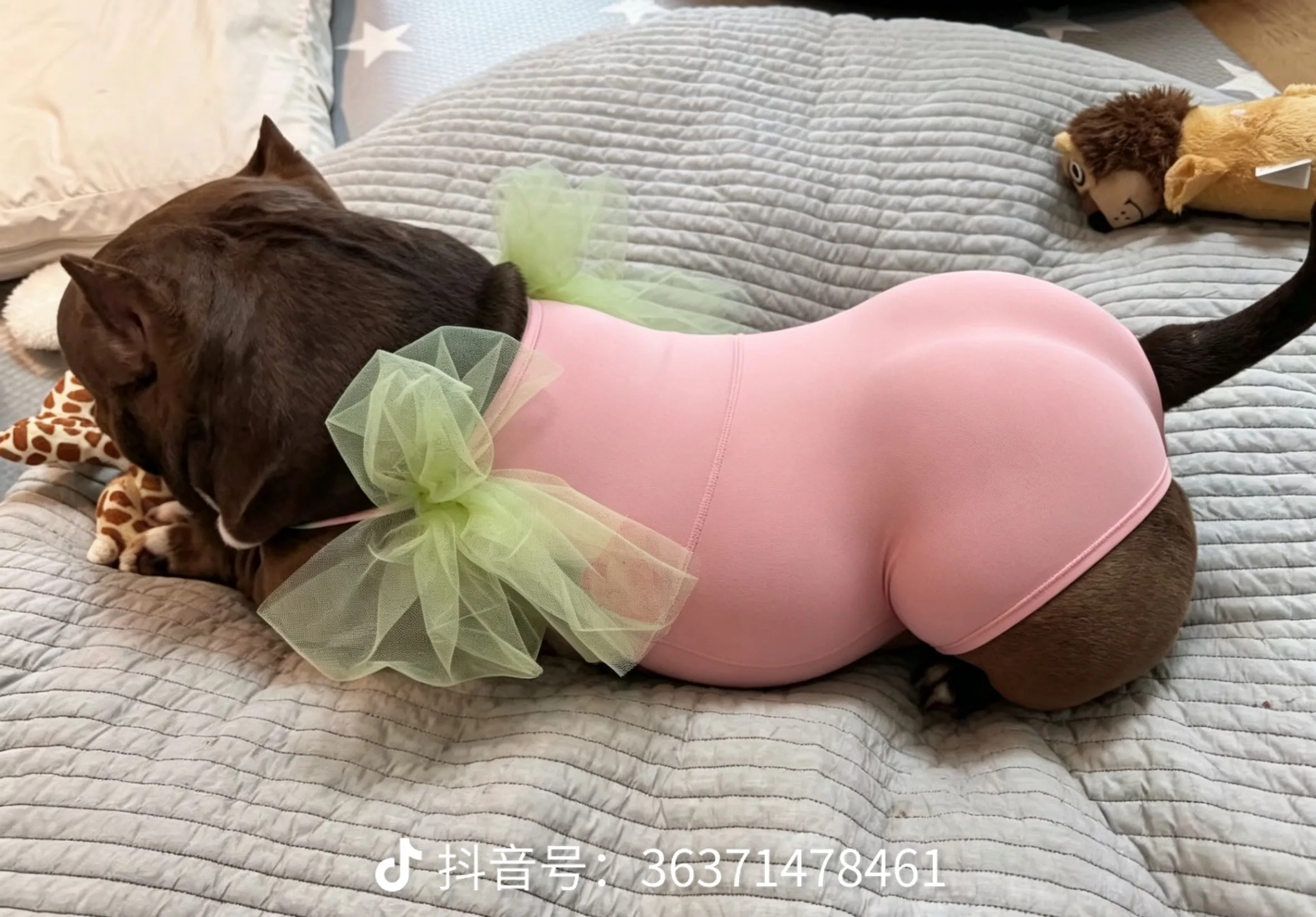 好标准的蜜桃臀🍑