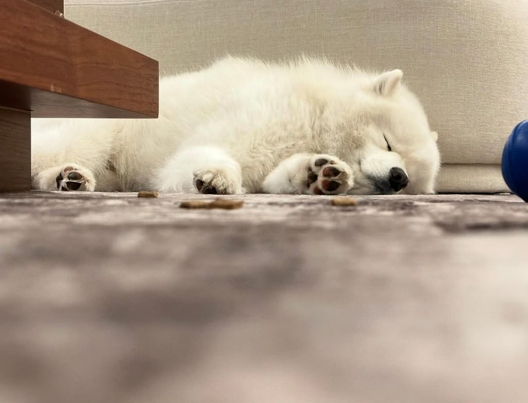 晚安耶 ​​​