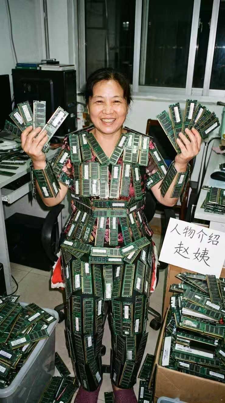 谁能想到还有这种“顶配装备”！赵姨一身内存条穿在身上，双手还捧着一大把，气场直接