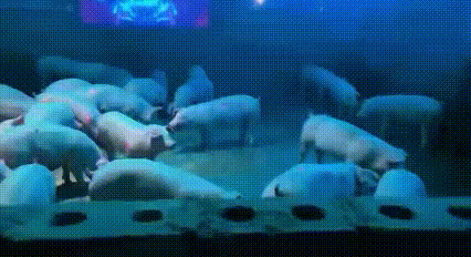 二师兄估计这辈子也没想到，在短短的几个月到一年左右的时间，居然还能享受ktv待遇