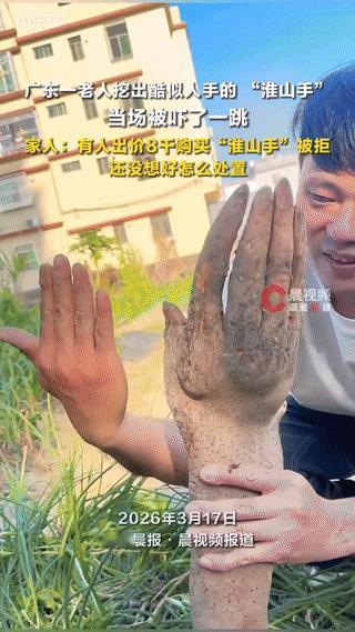 解释不清了，广东，一老人在自家菜地里挖淮山，不料，竟挖出一根外形酷似人手的淮山，