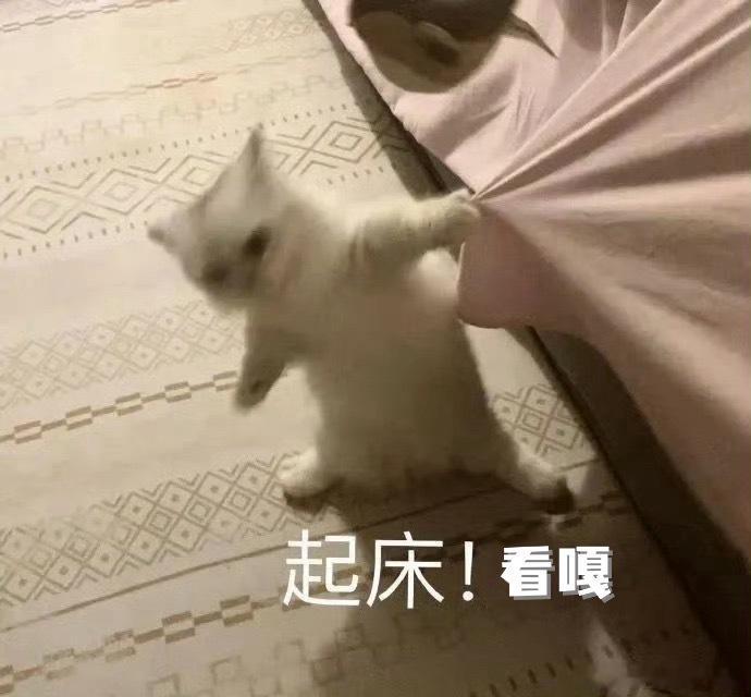 睡醒后，他刚好也回屋看我，温暖的大手轻轻的落在我的脑袋上，温柔的抚摸着～嘎“哎呀