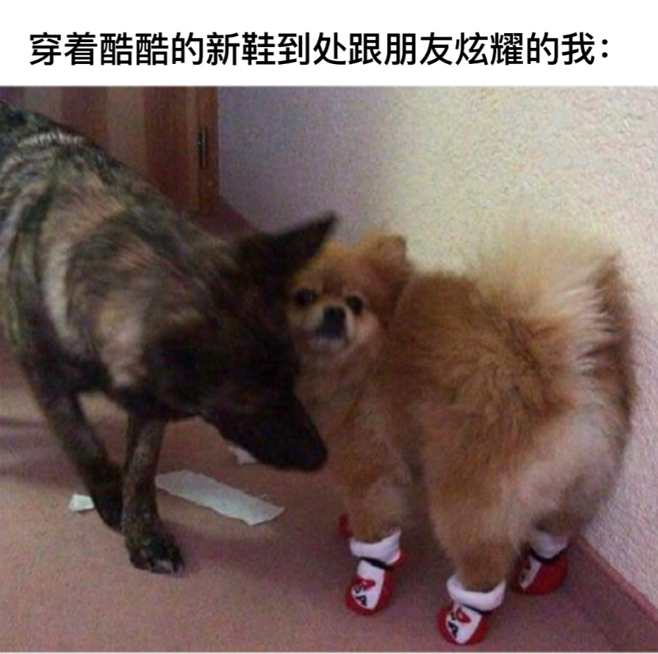 好看吗#今日memes# //#今日快乐今日发# ​​​