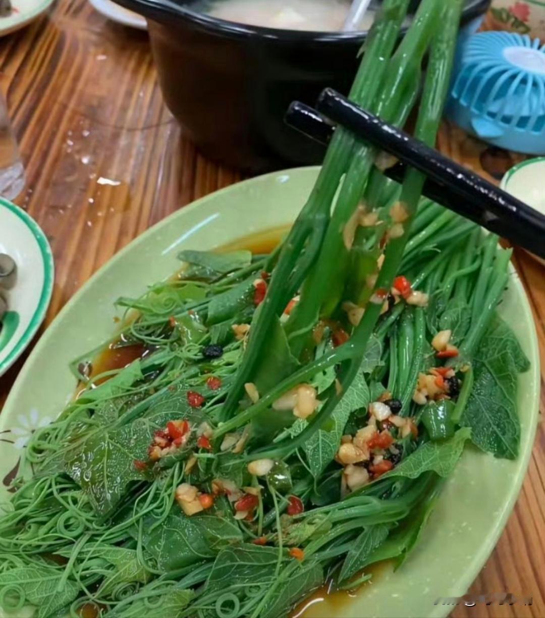 新年生活图鉴佛手瓜苗，非常好吃！