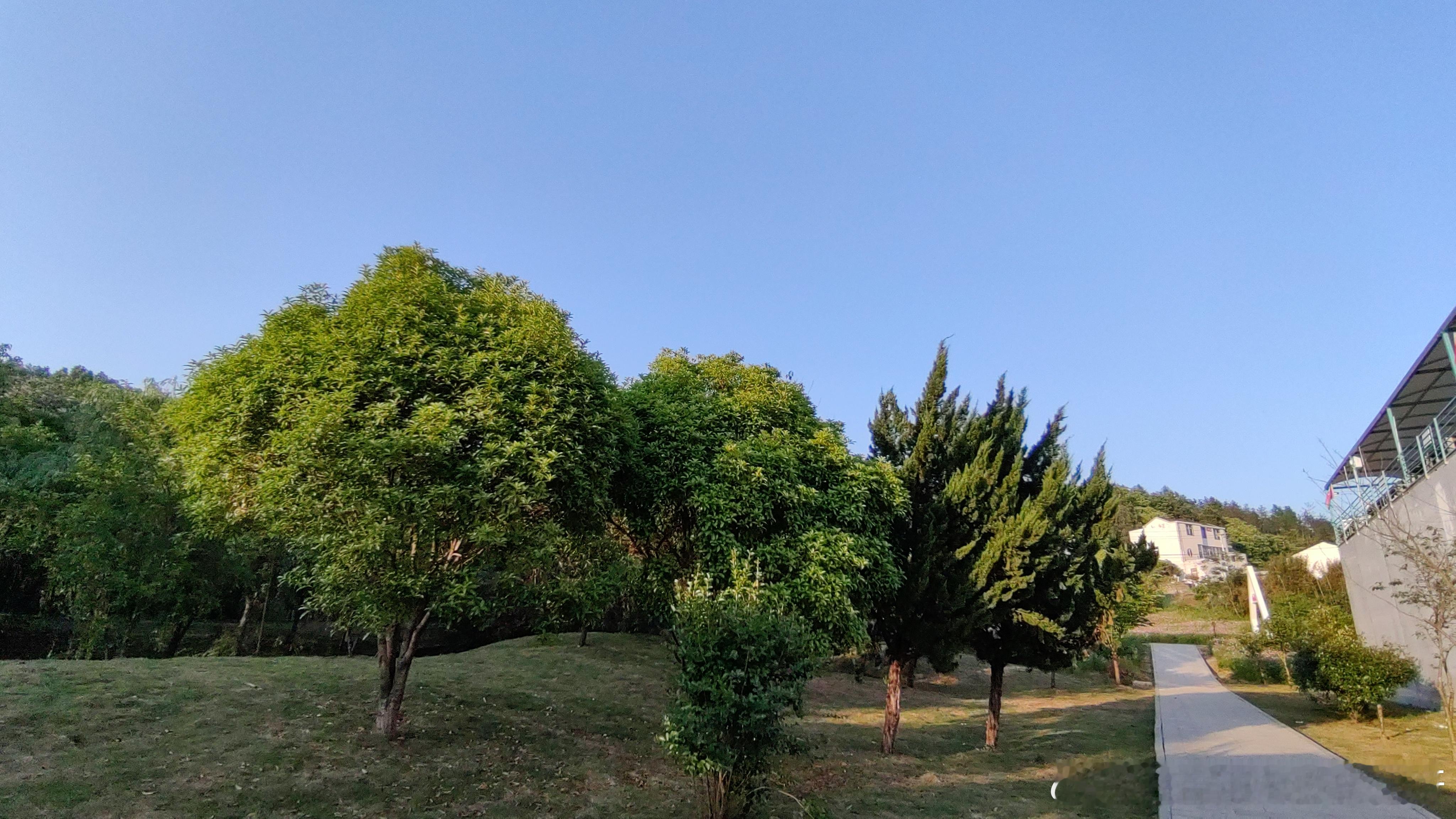 承德车内强奸案被告已上诉实在理解不了这种初次见面就节奏飞快的相处模式，还是从前慢