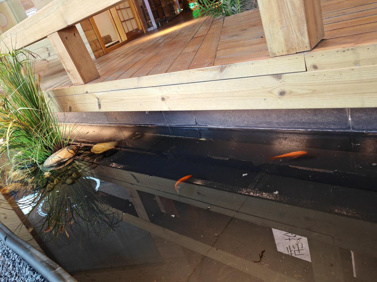 新年生活图鉴可能是工作日的原因，汉街这家店里没有一位顾客，都是带娃的，一娃一老人